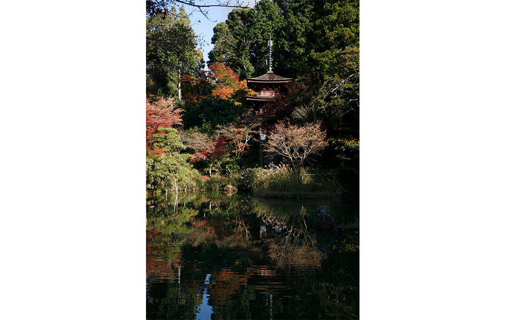 浄瑠璃寺三重塔