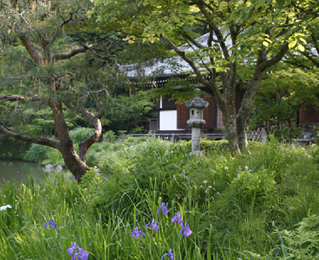 净瑠璃寺